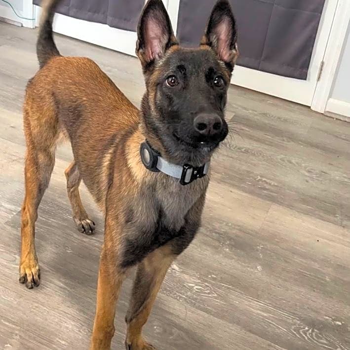 Photo of Lex