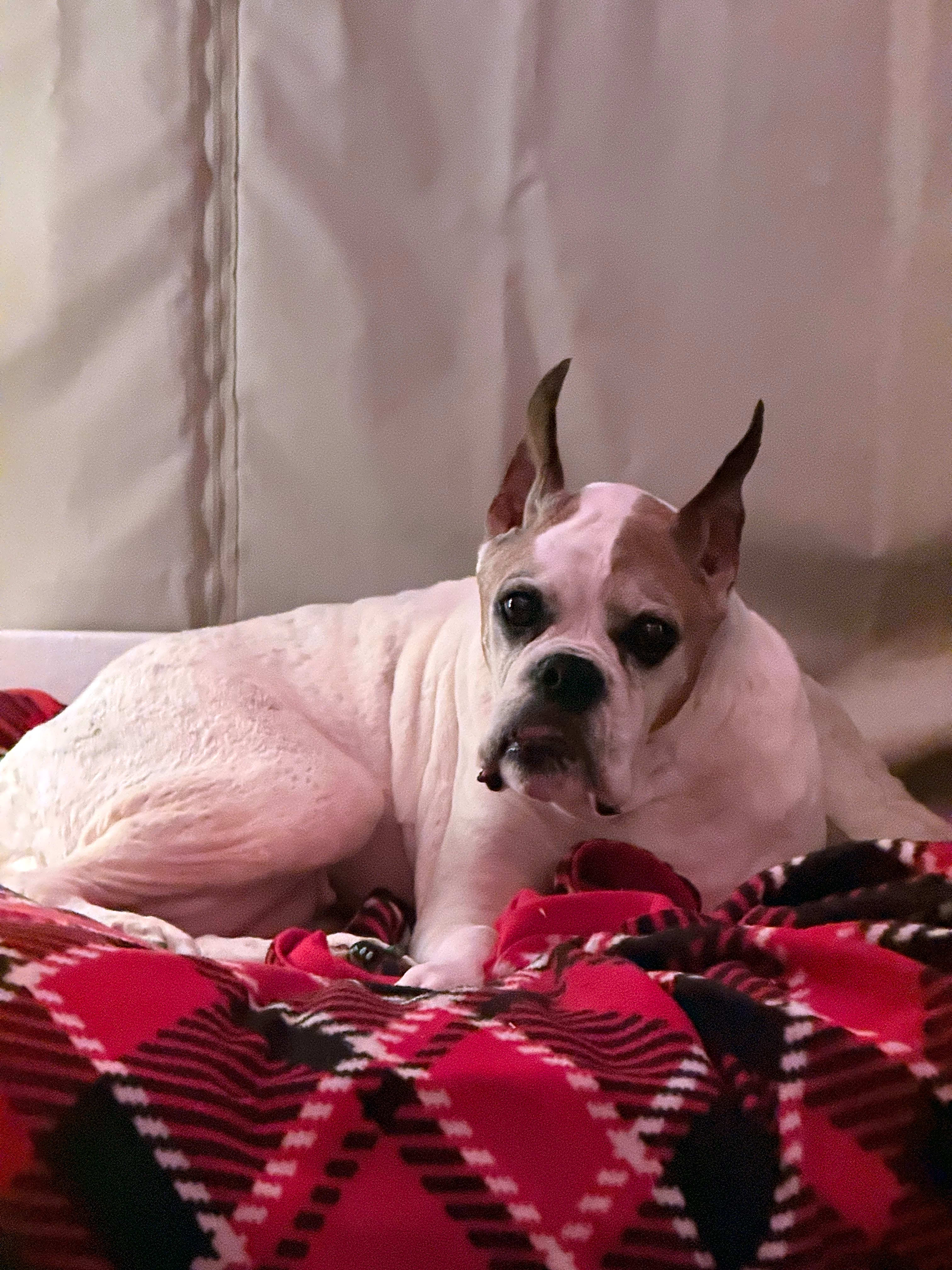 Photo of Teagan