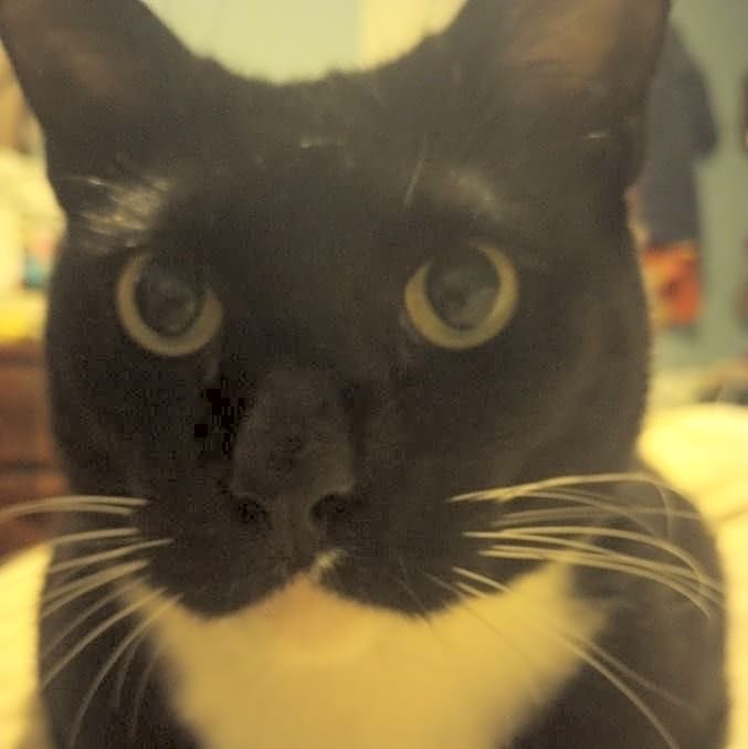 Photo of Little Guy