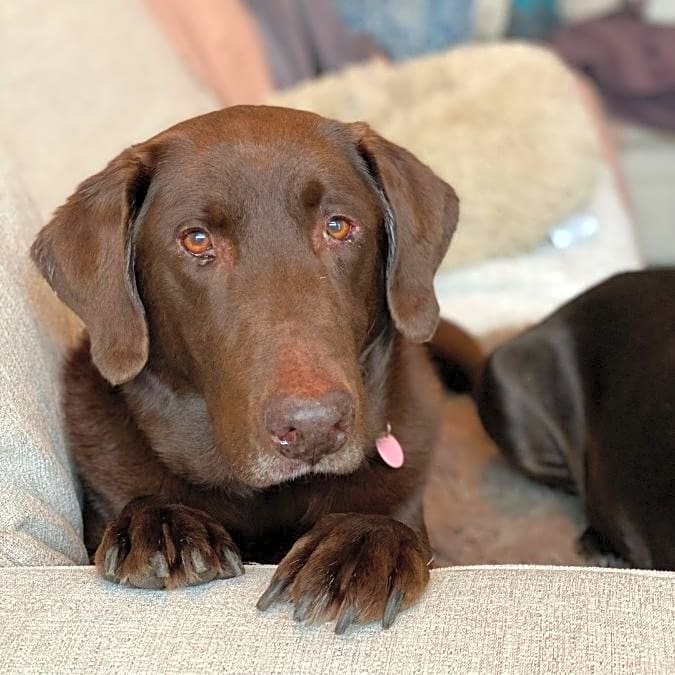 Photo of Zeus