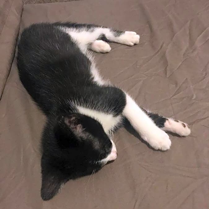 Photo of LEO