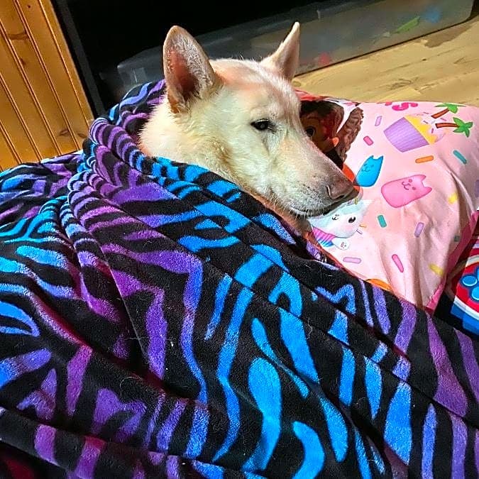 Photo of Askem