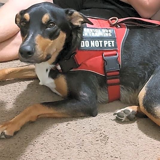 Photo of Maverick