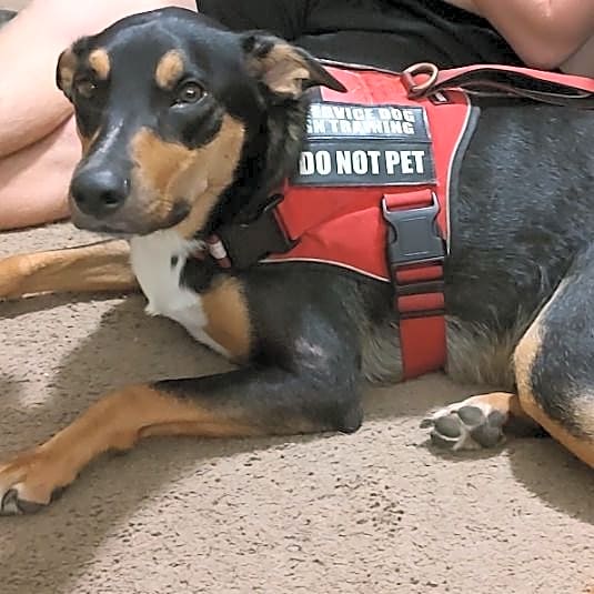 Photo of Maverick
