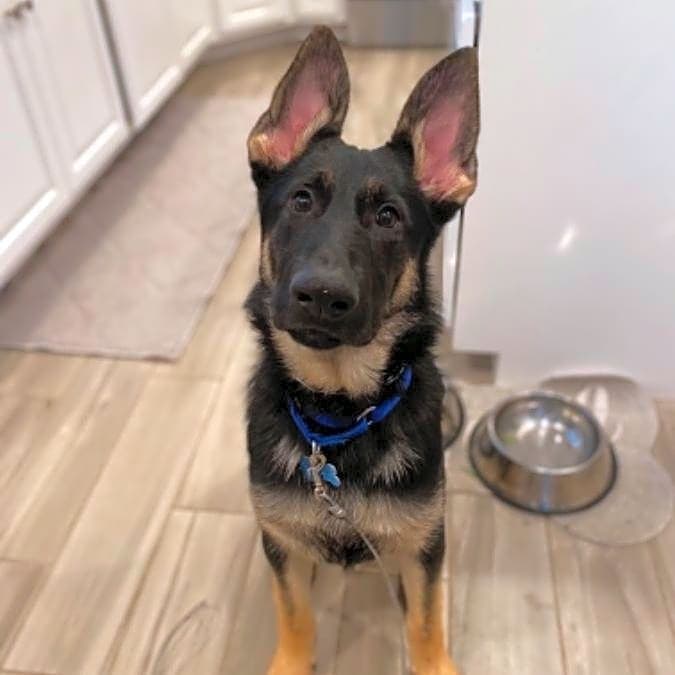 Photo of Logan