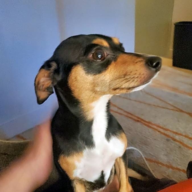 Photo of Little Bit