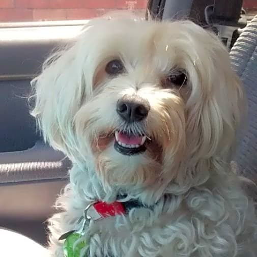 Photo of Chloe