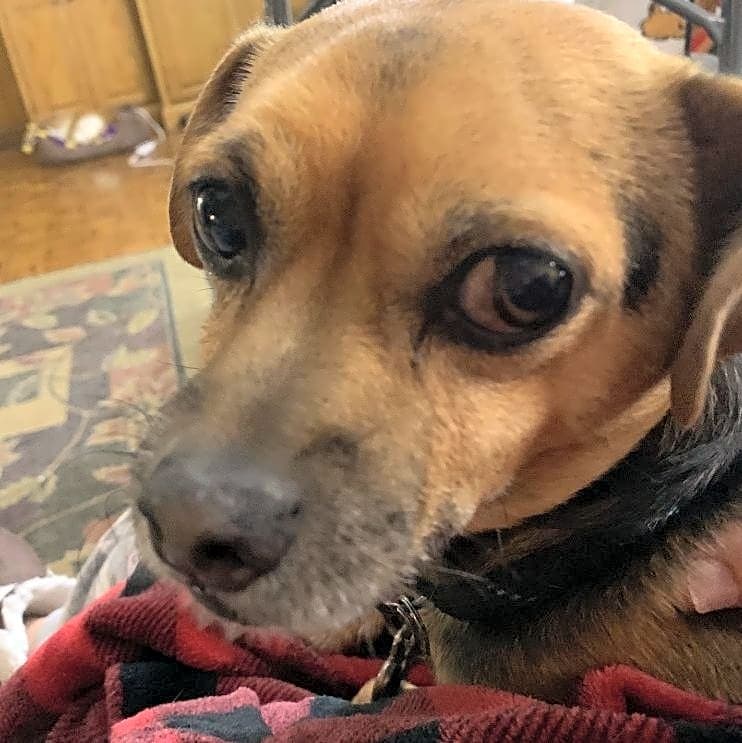 Photo of Murphy
