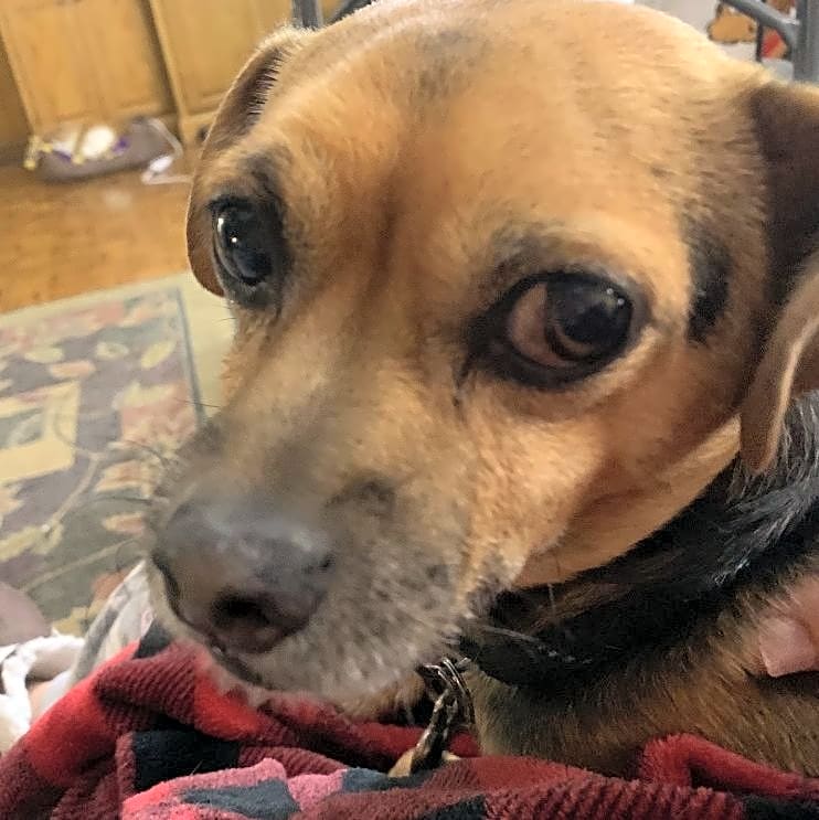 Photo of Murphy