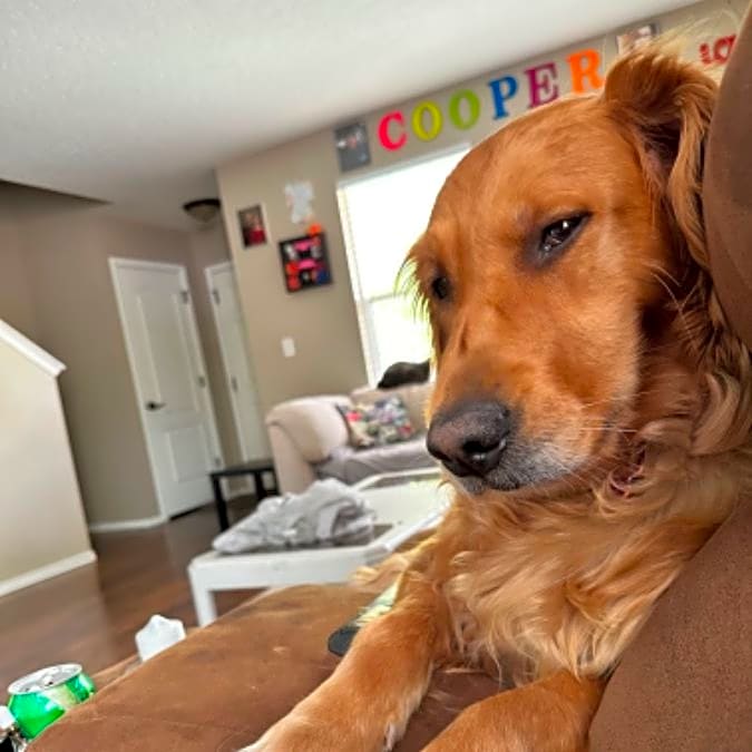 Photo of Nova