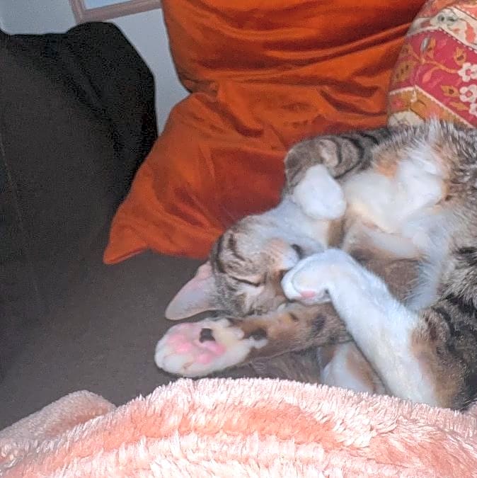 Photo of Sammi