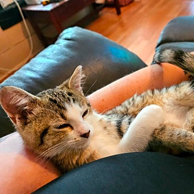 Photo of Spunky