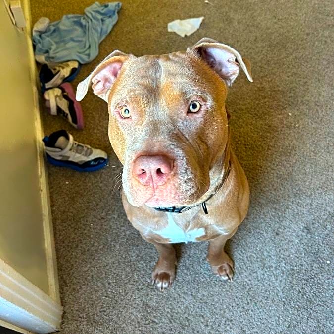Photo of Keelo