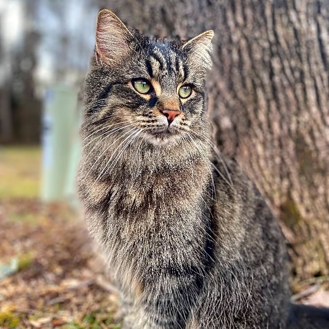 Photo of Finnegan
