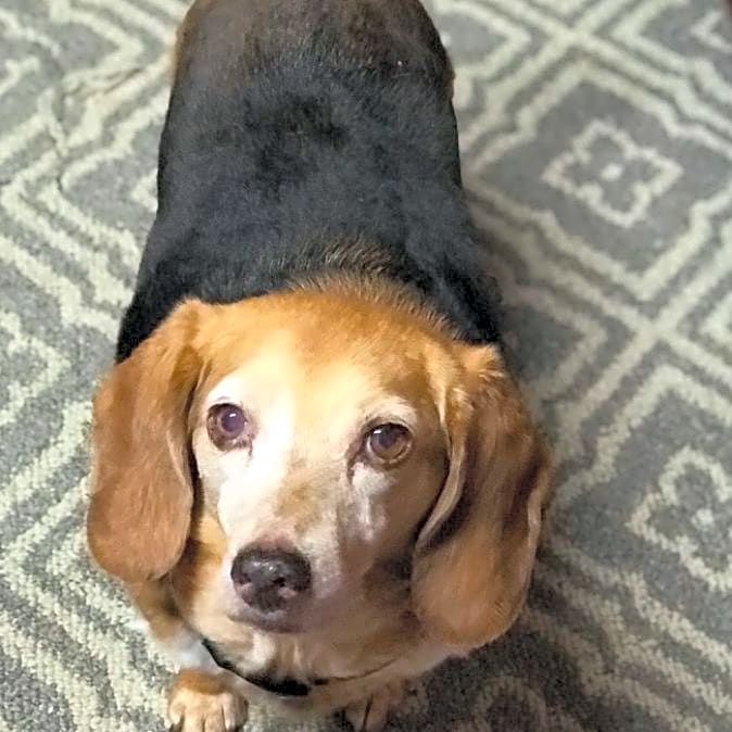Photo of Jake