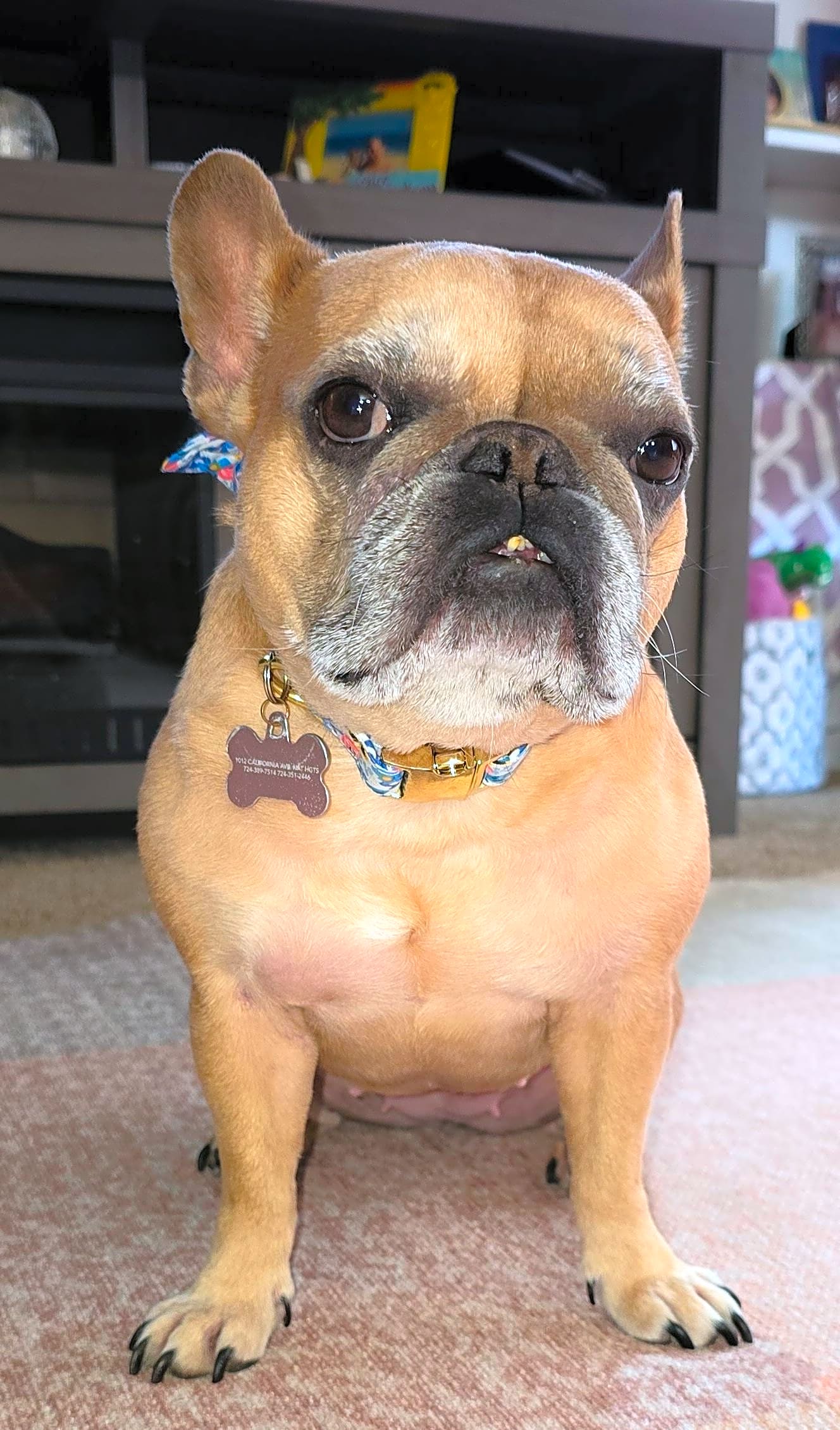 Photo of Lyla
