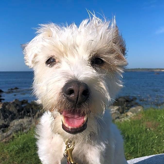 Photo of Larkin