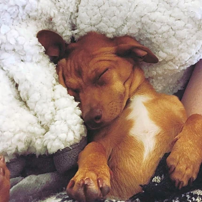 Photo of Copper