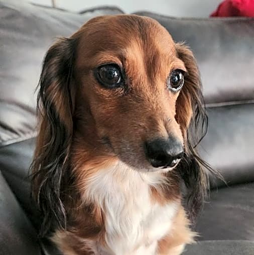 Photo of Sophie