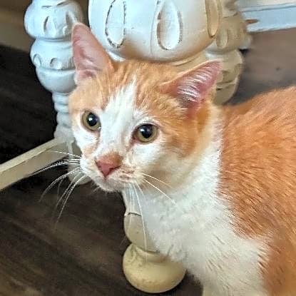 Photo of Deja