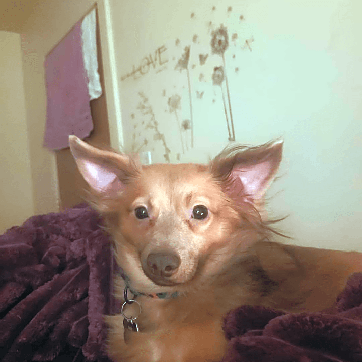 Photo of Sadie