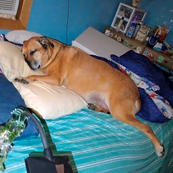 Photo of Max
