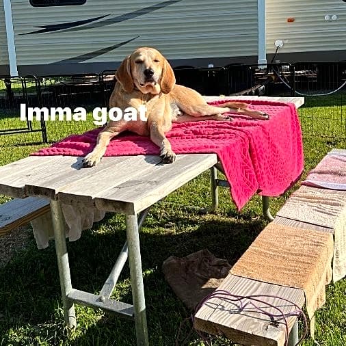 Photo of Cooper