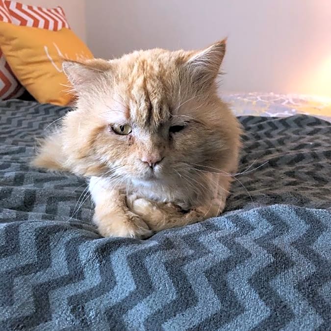 Photo of Zeus