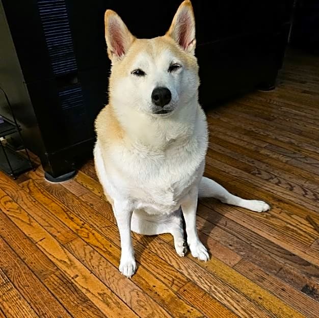 Photo of Cesar