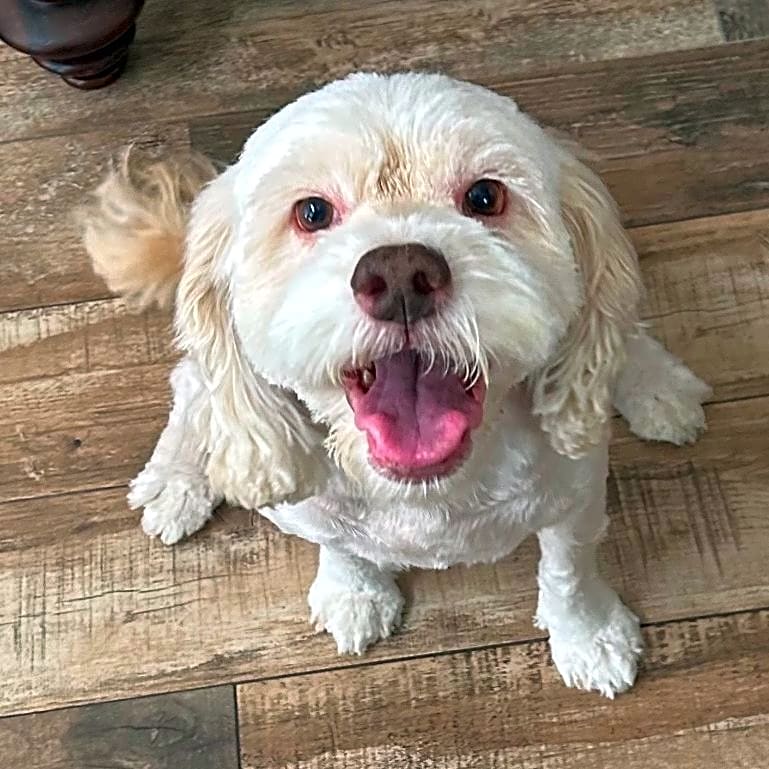 Photo of Ellie Boo
