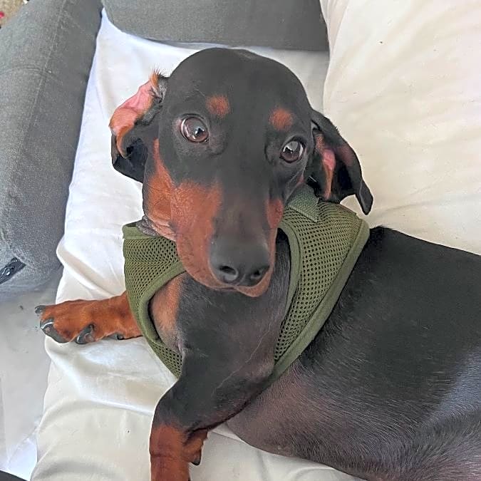 Photo of Bentley