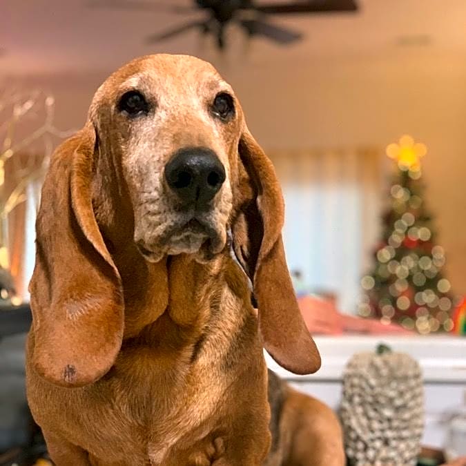Photo of Floyd