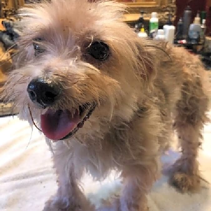 Photo of Lucy