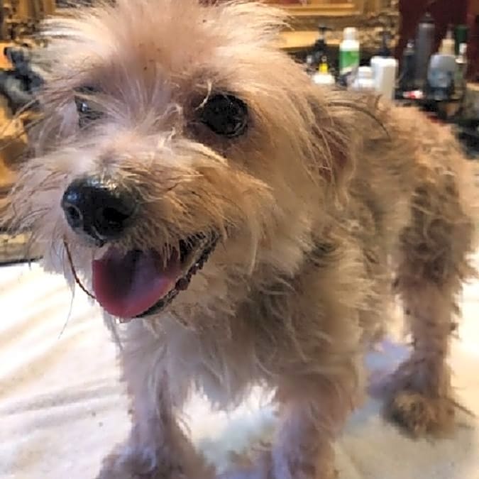 Photo of Lucy