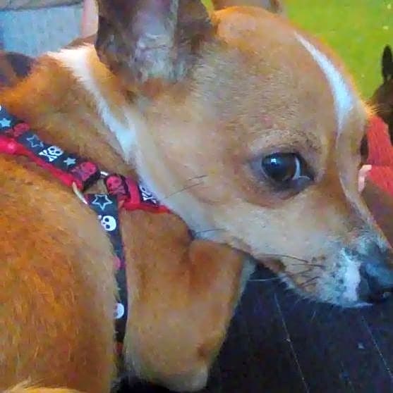 Photo of Quincy