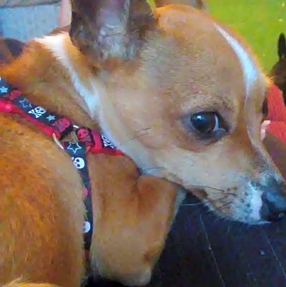 Photo of Quincy