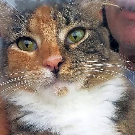 Photo of Little Missy