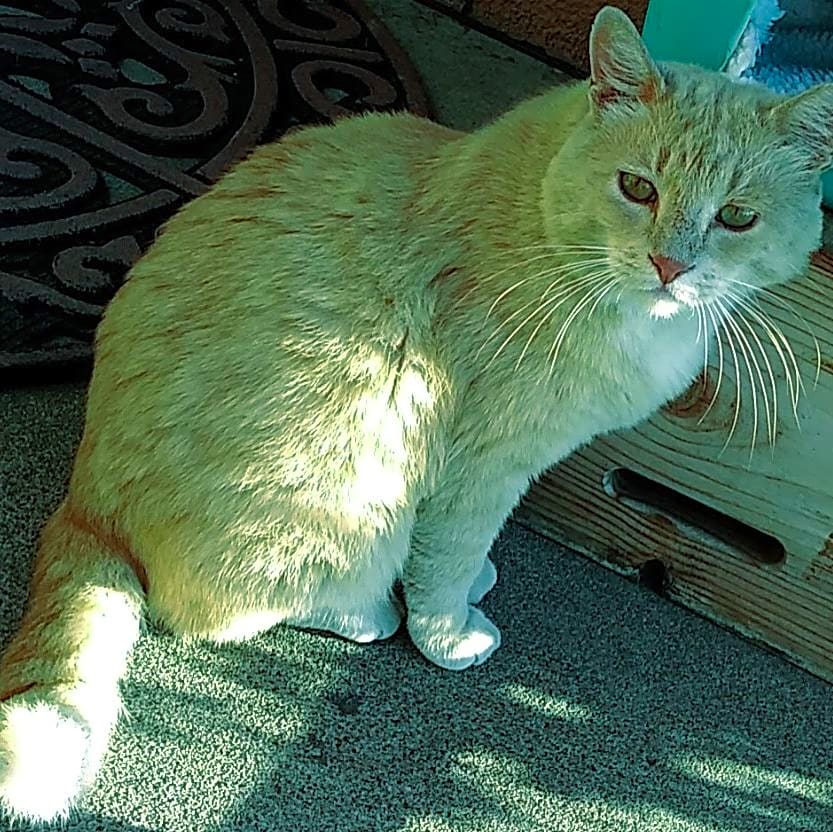 Photo of Charlie