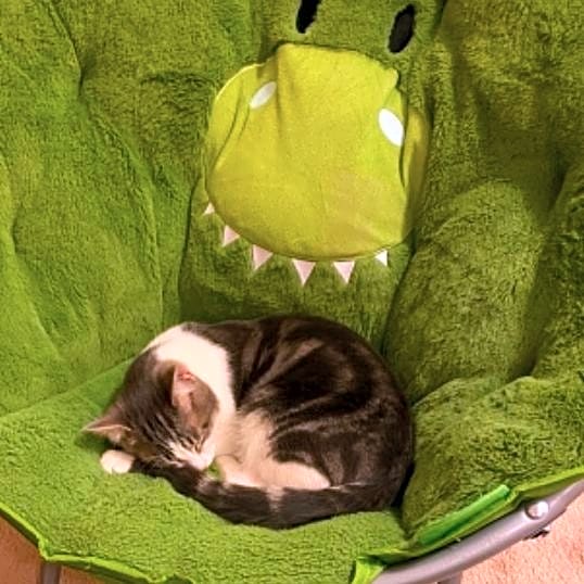 Photo of Smokey