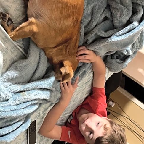 Photo of Taco
