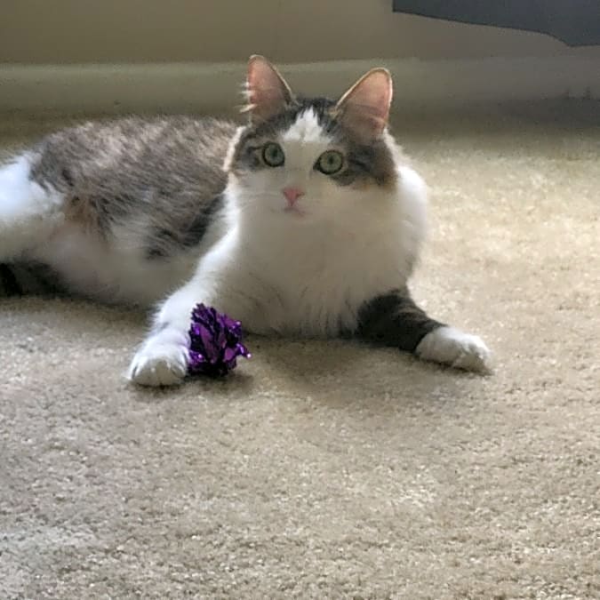 Photo of Cliff aka "mr.beans"
