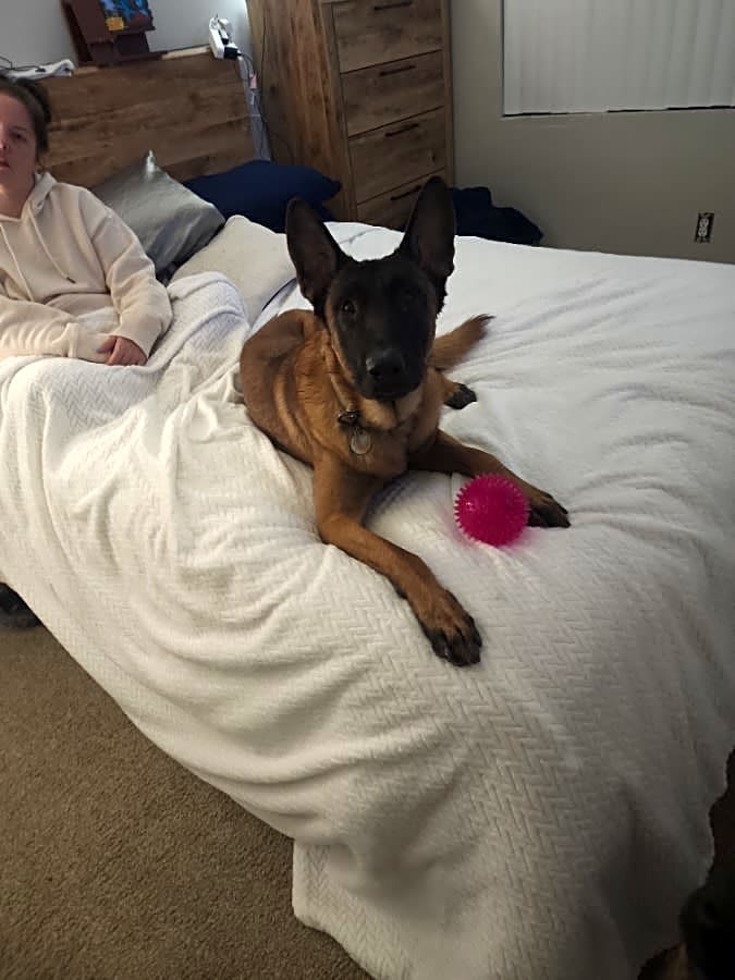 Photo of Ares