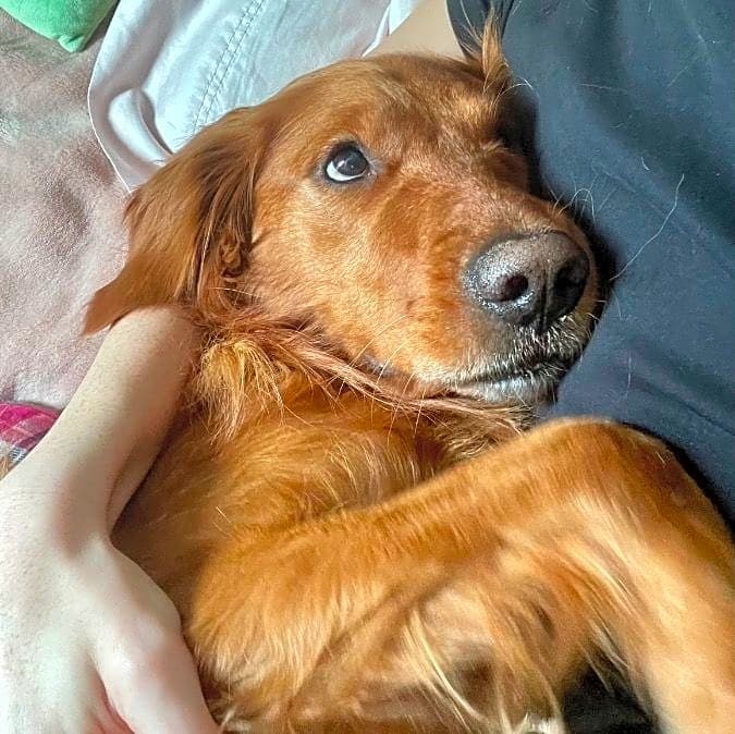 Photo of Blue
