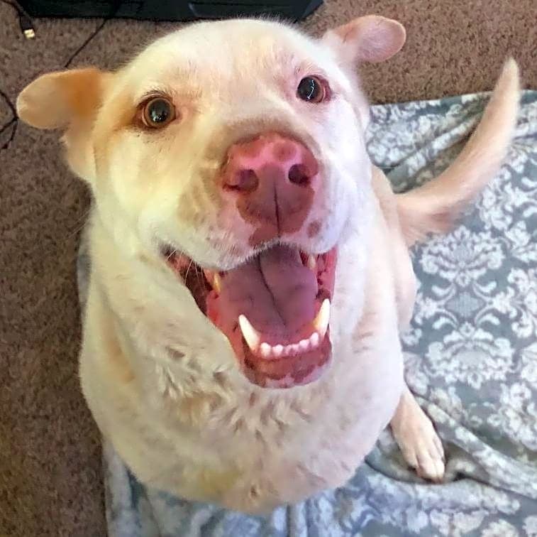 Photo of Daisy