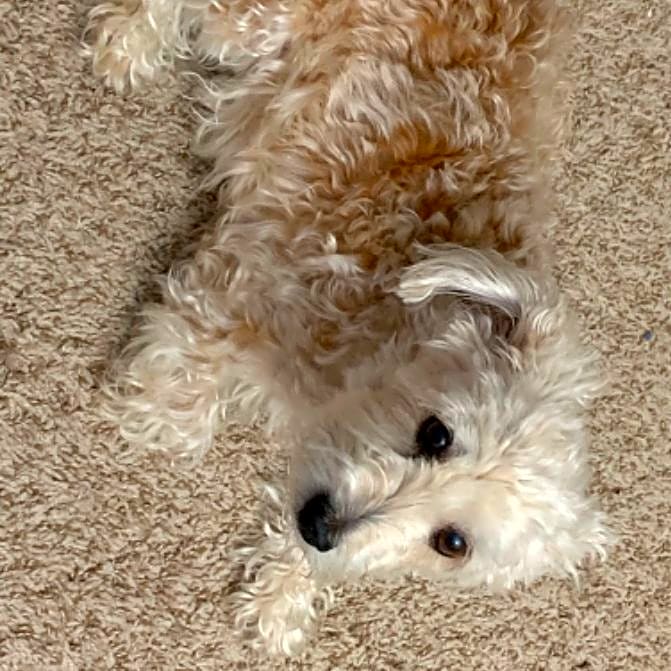 Photo of Chloe