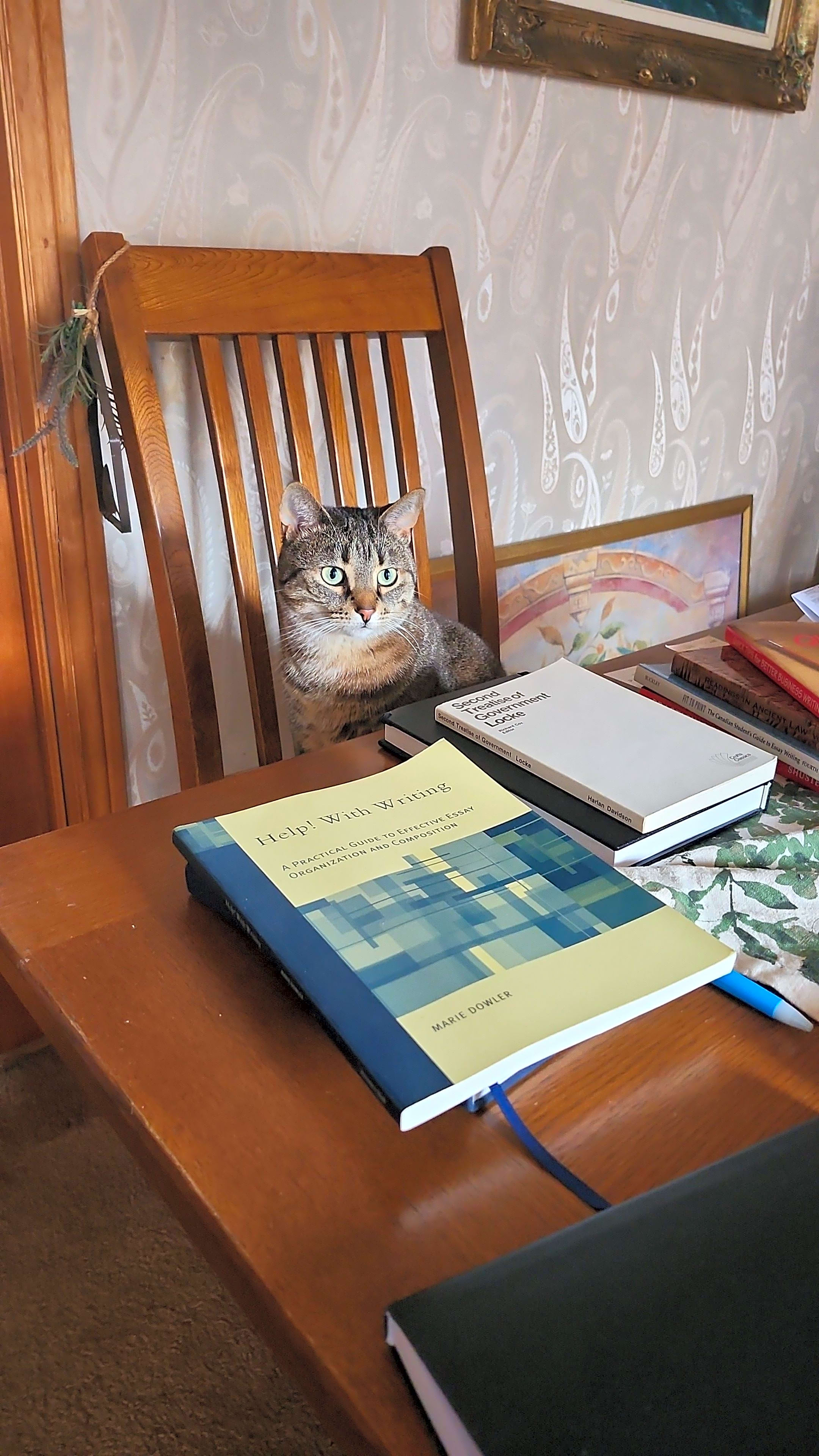 Photo of Stripes