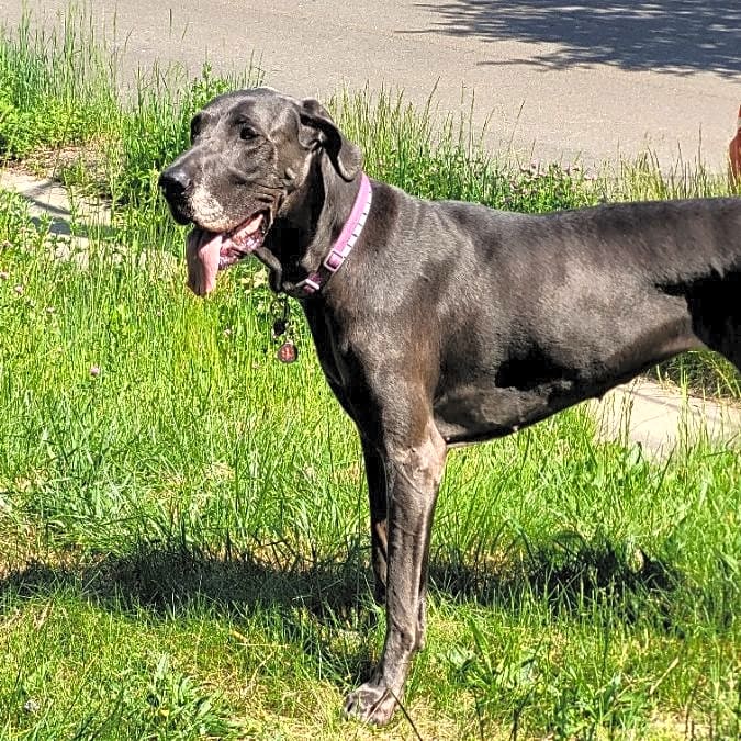 Photo of Mystique