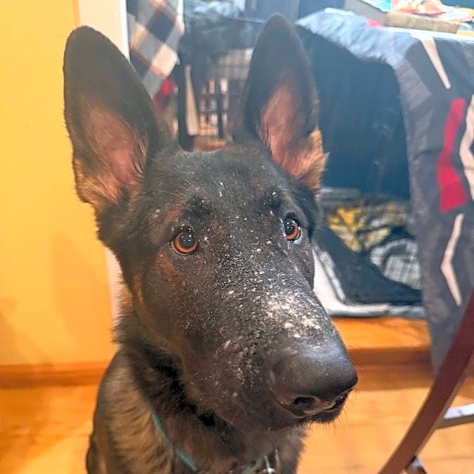 Photo of Fritz