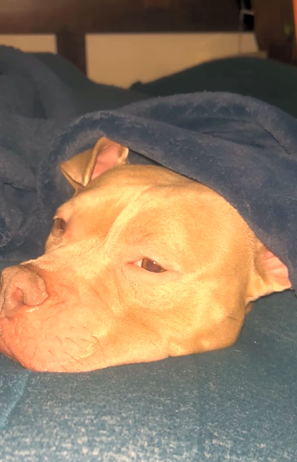 Photo of Winnie