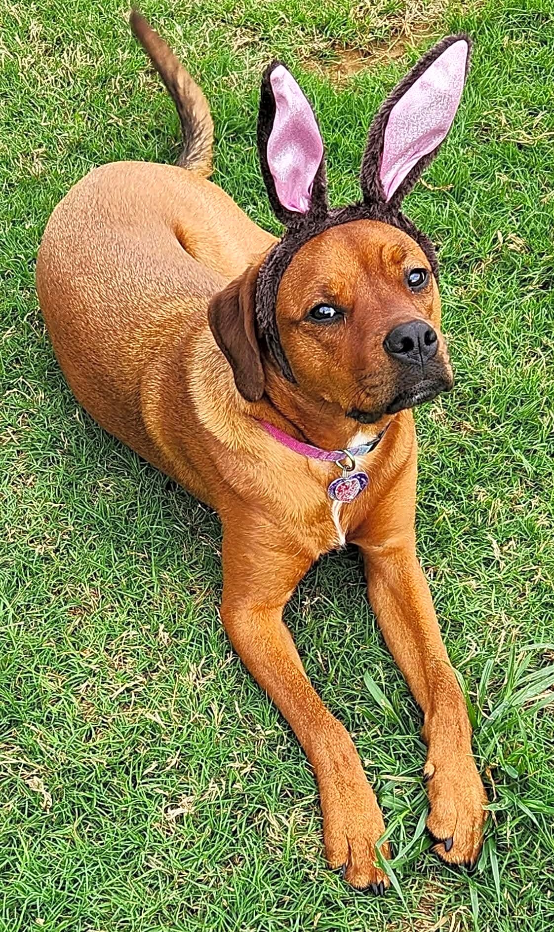 Photo of Briley